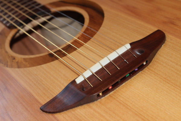 Jenny Biddle's Self-Made Guitar